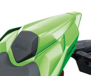 Pillion seat cover ZX-10R